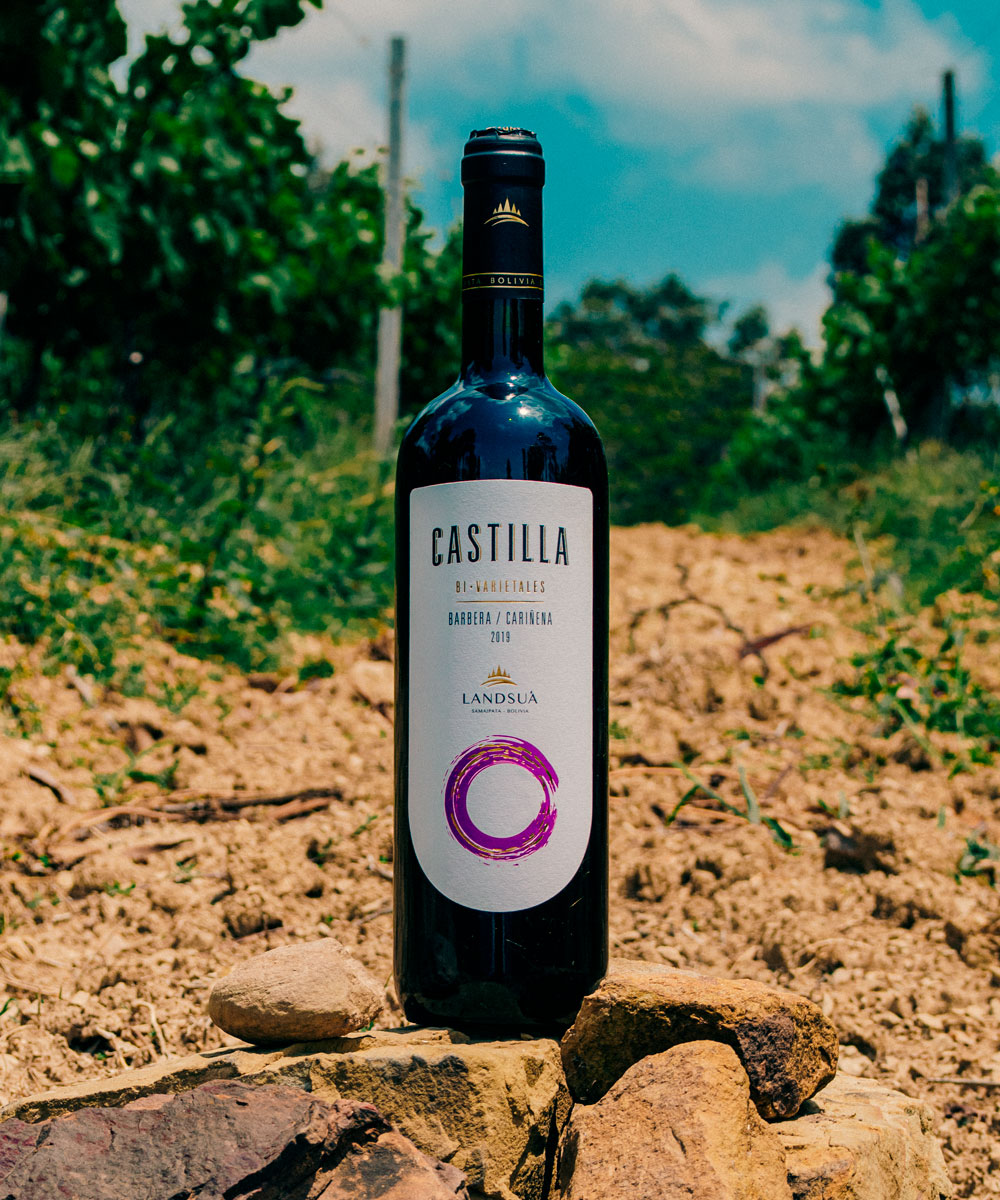 Vino Barbera Cariñena Castilla en Viñedo - Bodegas Landsuá Samaipata Botella de vino tinto Castilla Barbera Cariñena colocada sobre rocas en los viñedos de Bodegas Landsuá, Samaipata.