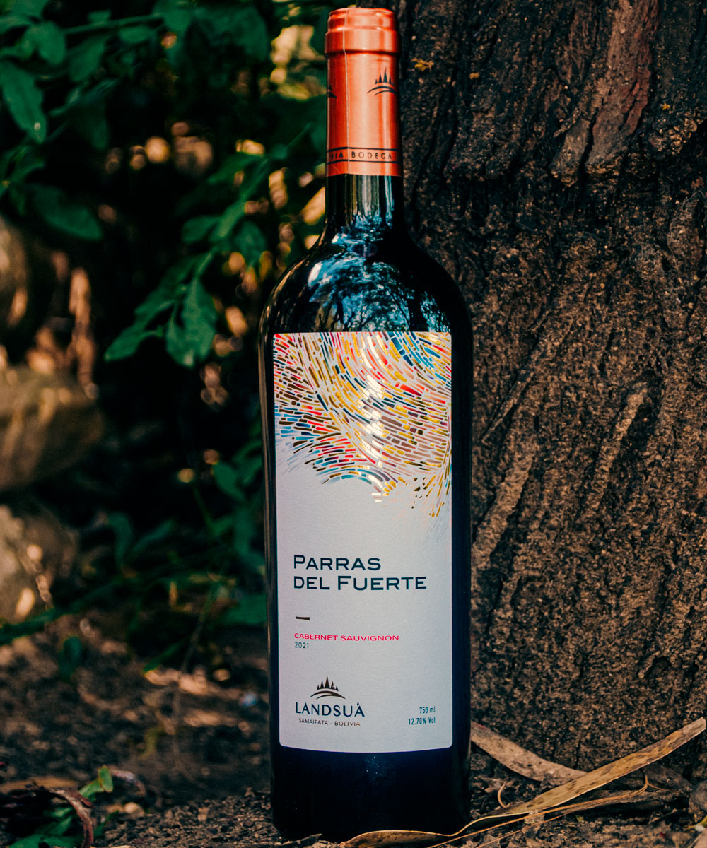 Vino Cabernet Sauvignon Parras del Fuerte en Viñedo - Bodegas Landsuá Samaipata. Botella de vino tinto Cabernet Sauvignon Parras del Fuerte junto al tronco de una vid en Bodegas Landsuá, Samaipata.