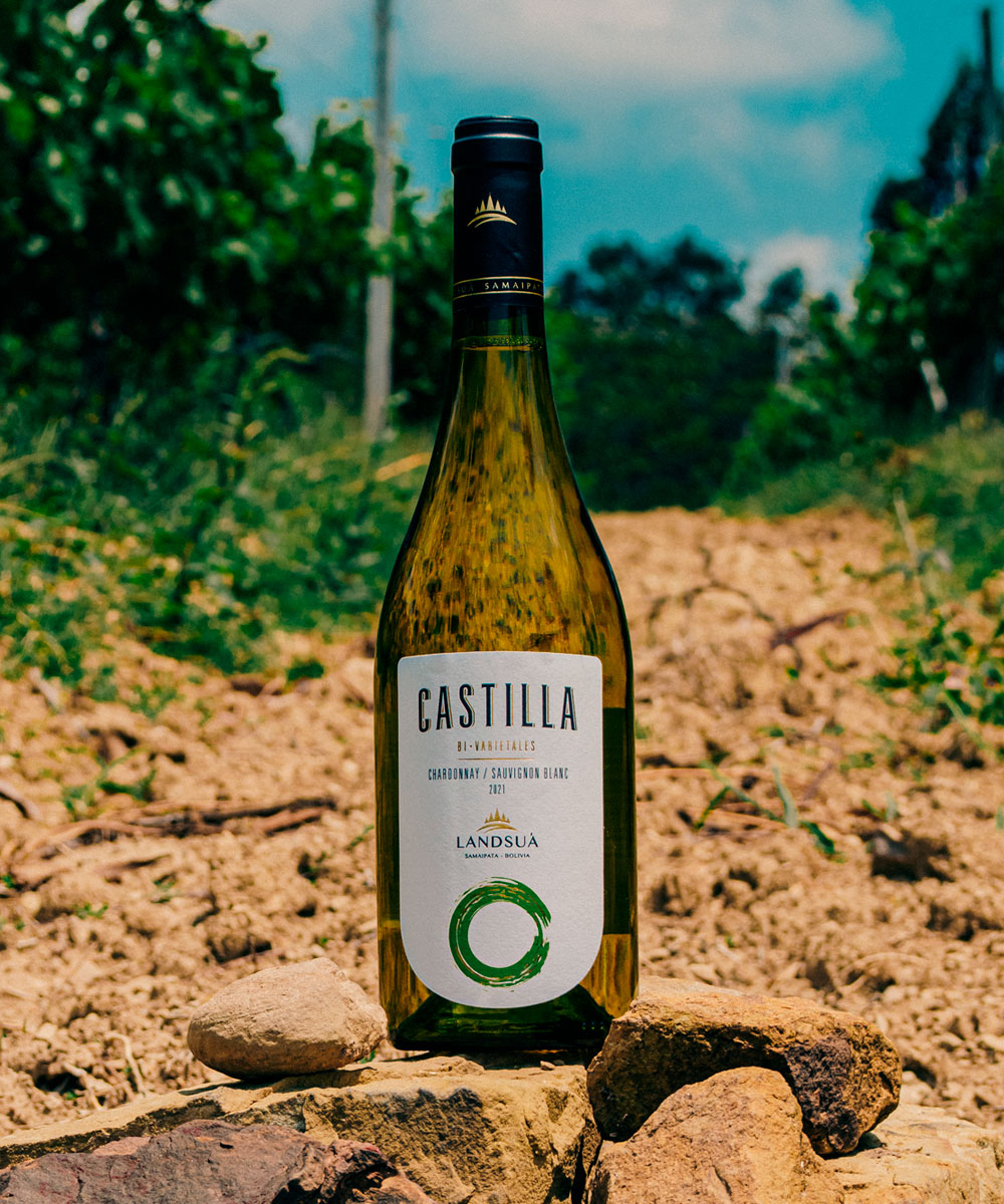 Vino Chardonnay Sauvignon Blanc Castilla en Viñedo - Bodegas Landsuá Samaipata Botella de vino blanco Castilla Chardonnay Sauvignon Blanc sobre piedras en el viñedo de Bodegas Landsuá en Samaipata.