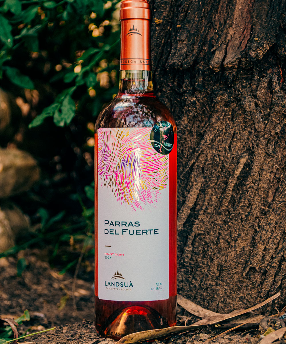 Vino Rosé Pinot Noir Parras del Fuerte en Viñedo - Bodegas Landsuá Samaipata Botella de vino rosado Rosé Pinot Noir Parras del Fuerte con sello de premiación junto al tronco de una vid en Bodegas Landsuá, Samaipata.