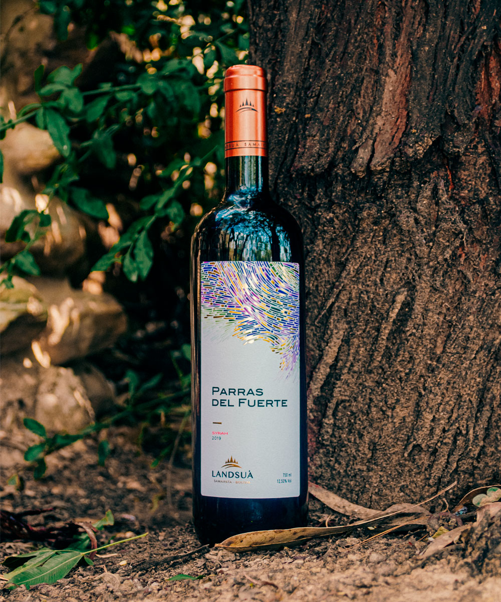 Vino Syrah Parras del Fuerte en Viñedo - Bodegas Landsuá Samaipata Botella de vino tinto Syrah Parras del Fuerte junto al tronco de una vid en Bodegas Landsuá, Samaipata.