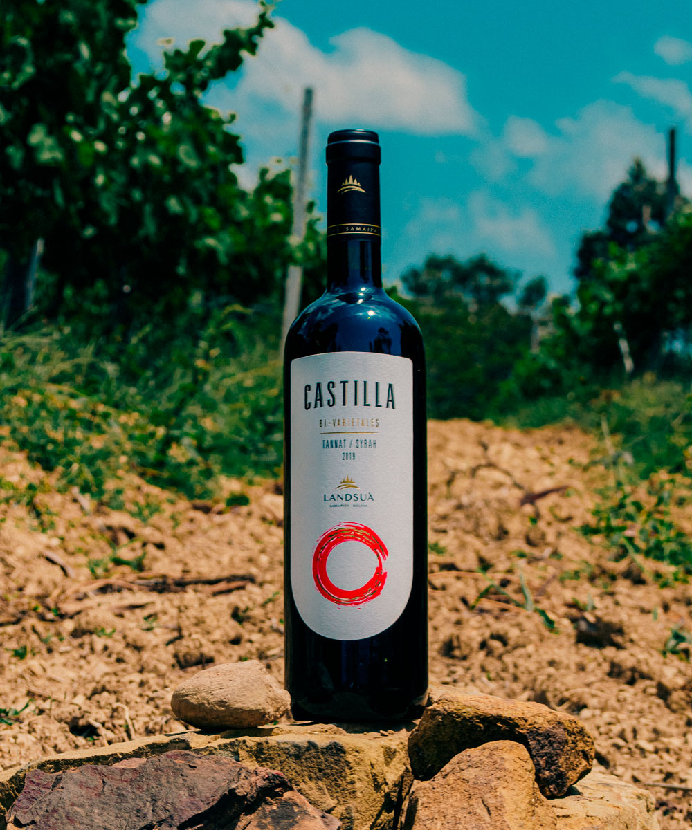 Vino Tannat Syrah Castilla en Viñedo - Bodegas Landsuá Samaipata Botella de vino tinto Castilla Tannat Syrah sobre piedras en el viñedo de Bodegas Landsuá en Samaipata