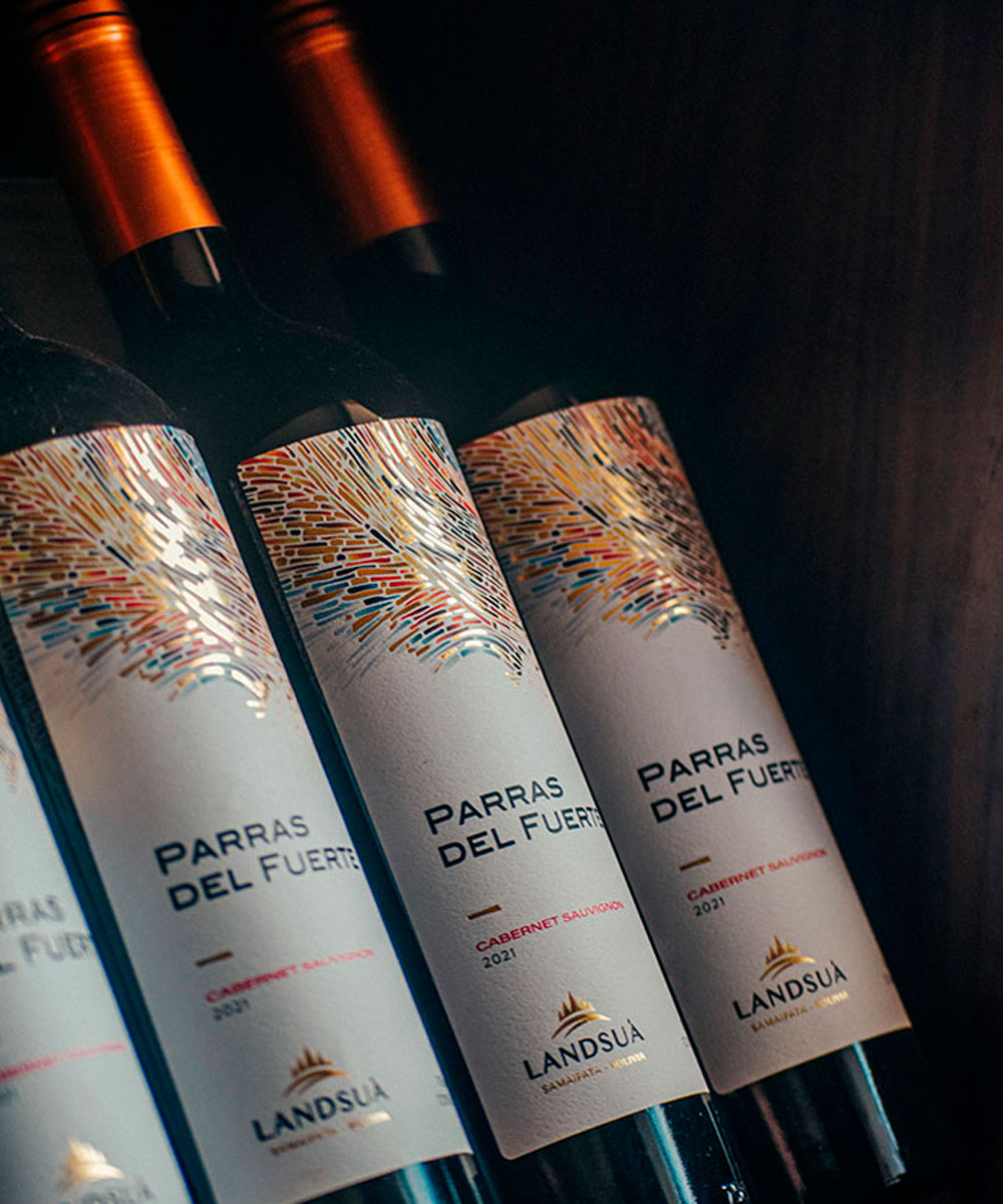 Colección de Botellas Vino Cabernet Sauvignon Parras del Fuerte - Bodegas Landsuá Fila de botellas de vino tinto Cabernet Sauvignon de la línea Parras del Fuerte de Bodegas Landsuá exhibidas en cava.