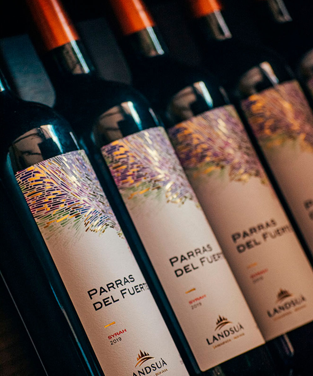 Colección de Botellas Vino Syrah Parras del Fuerte - Bodegas Landsuá Fila de botellas de vino tinto Syrah de la línea Parras del Fuerte de Bodegas Landsuá exhibidas en cava.