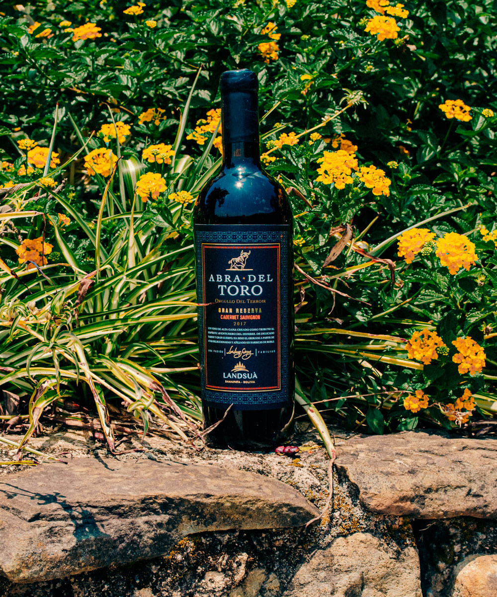 Vino Cabernet Sauvignon Gran Reserva Abra del Toro en Exposición - Bodegas Landsuá Botella de vino tinto Cabernet Sauvignon Gran Reserva Abra del Toro de Bodegas Landsuá, exhibida sobre piedra rodeada de flores amarillas.