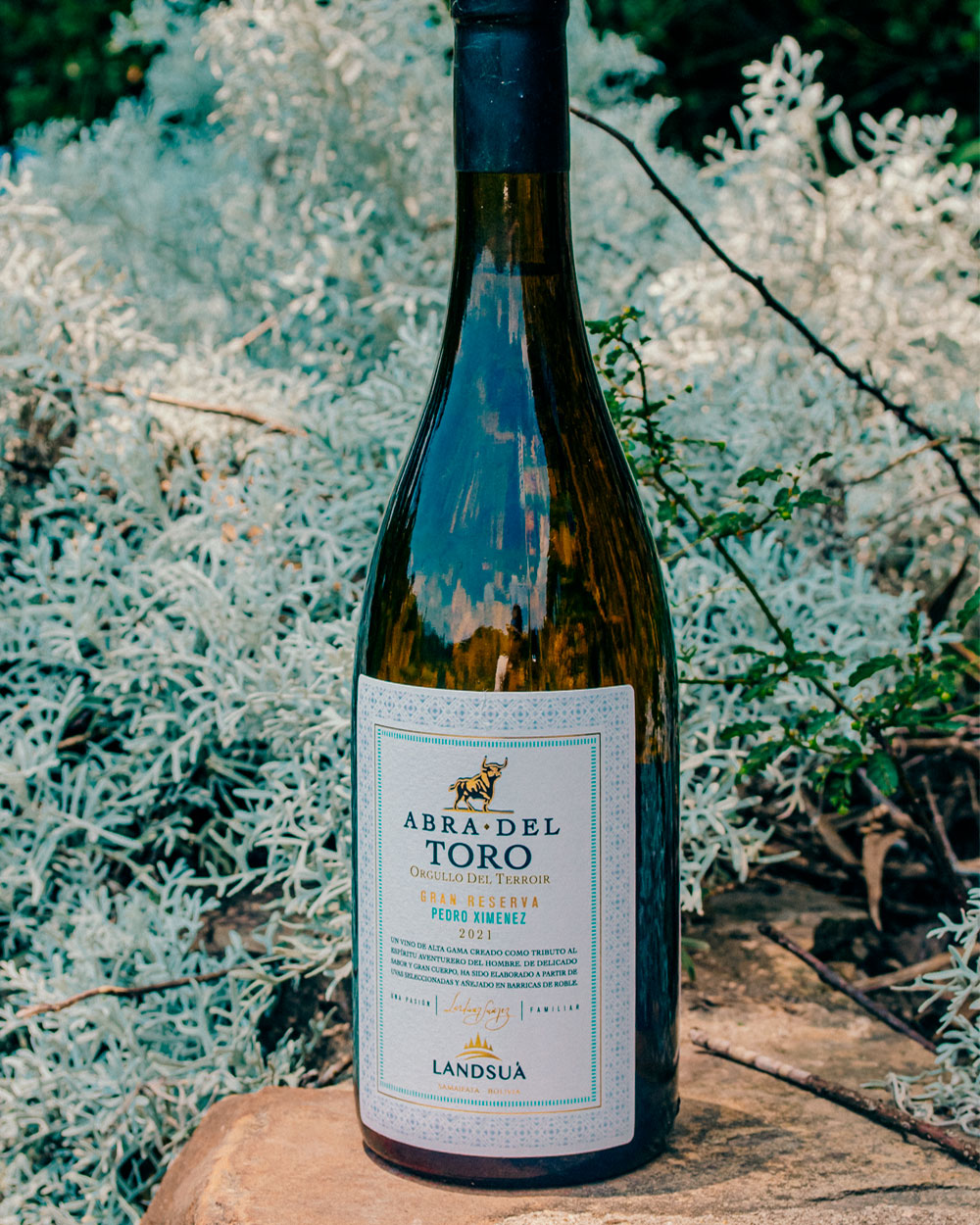 Vino Pedro Ximenez Gran Reserva Abra del Toro en Entorno Natural - Bodegas Landsuá Botella de vino blanco Pedro Ximenez Gran Reserva Abra del Toro de Bodegas Landsuá sobre una base de piedra rodeada de follaje plateado en Samaipata.
