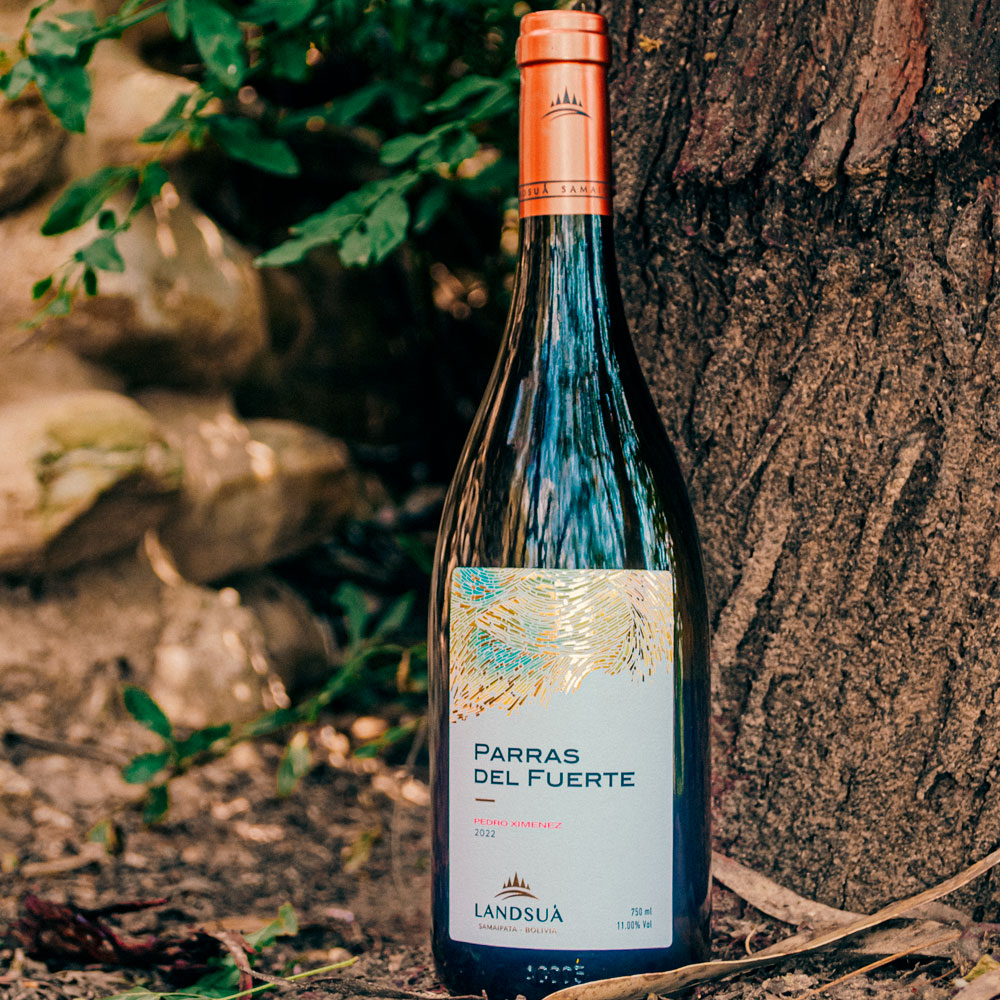 Vino Pedro Ximénez en Viñedo - Bodegas Landsuá Samaipata Botella de vino blanco Pedro Ximénez Parras del Fuerte junto al tronco de una vid en el viñedo de Bodegas Landsuá, Samaipata.