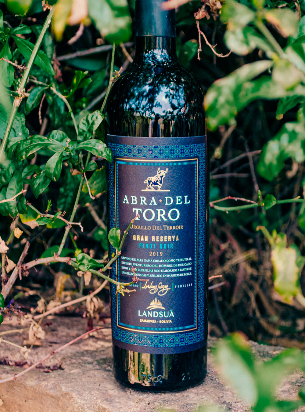 Vino Pinot Noir Gran Reserva Abra del Toro sobre Muro de Piedra - Bodegas Landsuá Botella de vino tinto Pinot Noir Gran Reserva Abra del Toro de Bodegas Landsuá sobre un muro de piedra rodeada de follaje verde en Samaipata.