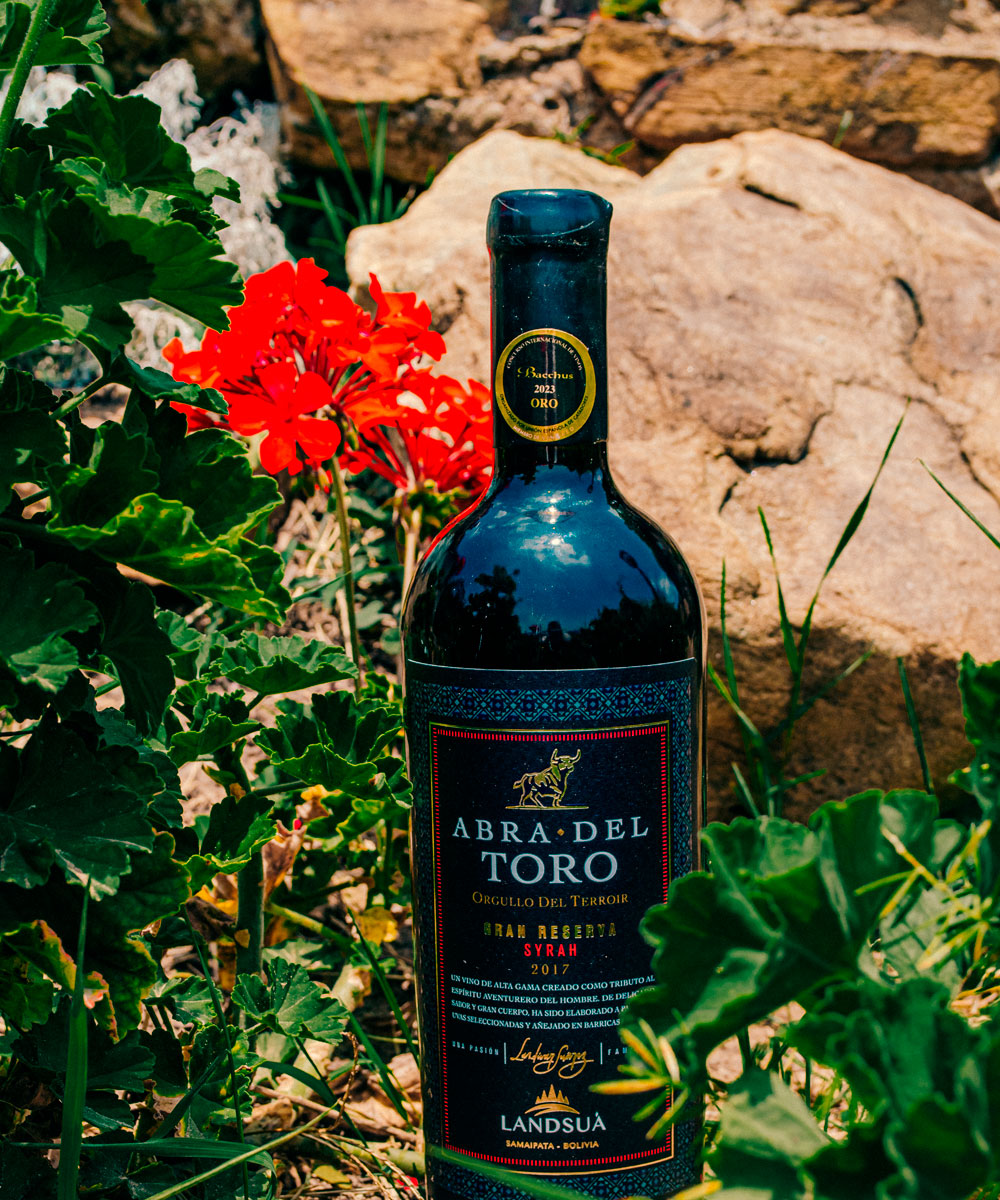 Vino Syrah Gran Reserva Abra del Toro Medalla de Oro - Bodegas Landsuá Botella de vino tinto Syrah Gran Reserva Abra del Toro de Bodegas Landsuá con Medalla de Oro Bacchus 2023, rodeada de flores rojas en Samaipata.